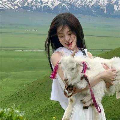 戴帽子的猫
